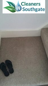 carpet cleaning services southgate